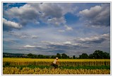 Fields, Germany